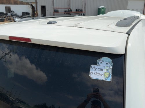 2011-2016 Chrysler Town & Country Rear Spoiler Back Wing Oem White Pw1