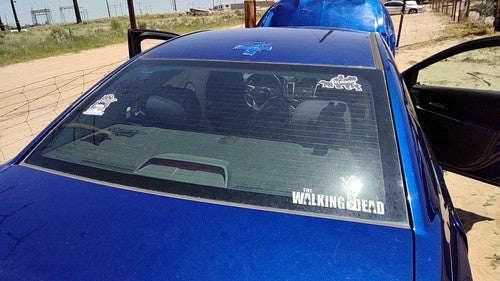 2011-2016 Chevy Cruze Back Glass Rear Window Only Oem 95094669