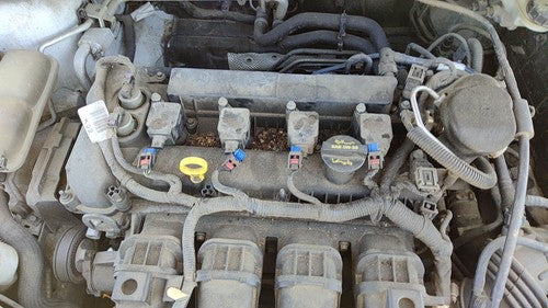2012-2014 Ford Focus Ford Focus Valve Cover Oem 2.0L Cm5Z6582E