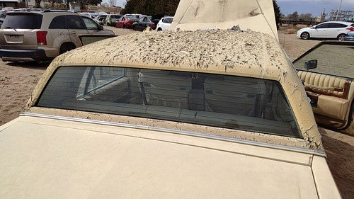 1980-1984 Cadillac Deville Back Glass Rear Window Oem Db06158Gt