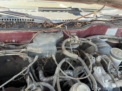 1987 Nissan Maxima Cruise Control Servo Assembly Module With Cable Oem 3.0L At
