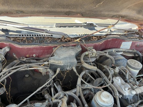 1987 Nissan Maxima Cruise Control Servo Assembly Module With Cable Oem 3.0L At