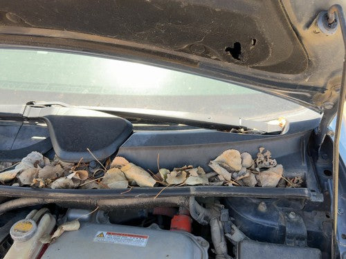 2004-2009 Toyota Prius Driver Left Windshield Wiper Arm Oem Blade Lever