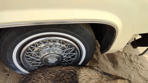 1980 Cadillac Deville Passenger Right Front Wheel Flare Moulding Oem Chrome Trim