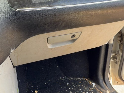 2011-2016 Chrysler Town & Country Glove Box Lower Complete Door With Latch Oem