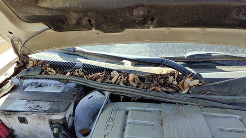 2003-2007 Cadillac Cts Passenger Right Windshield Wiper Arm Oem Blade Lever