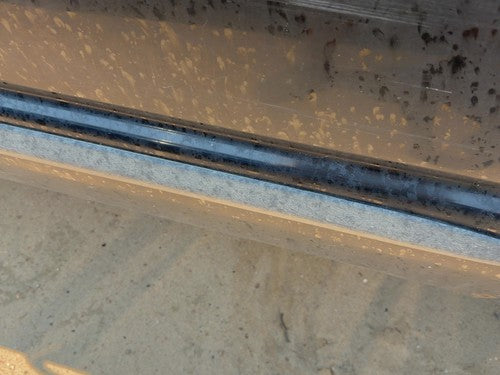 2002-2006 Dodge Ram 1500 Driver Left Rear Moulding From Door Oem Back 5Hc44Dx8Aa