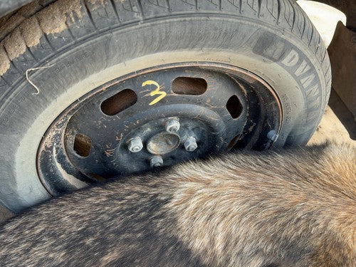 1987-1988 Toyota Fx 14" Steel Wheel Oem Factory Rim