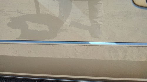 03-07 Cts Driver Left Front Moulding From Door Oem Trim Strip Sand Storm 61U