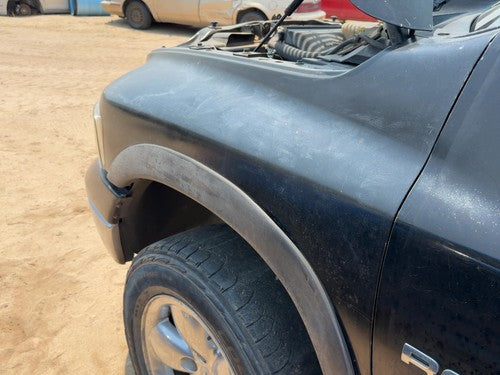 2002-2005 Dodge Ram 1500 Driver Left Front Fender Oem Black Px8 55276209Ad