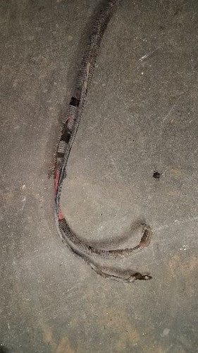 2006 Pontiac Grand Prix Positive Battery Cable Oem