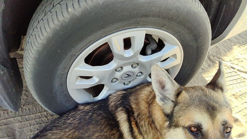 2004-2006 Acura Mdx 17' Aluminum Wheel Oem Factory 10 Spoke Rim