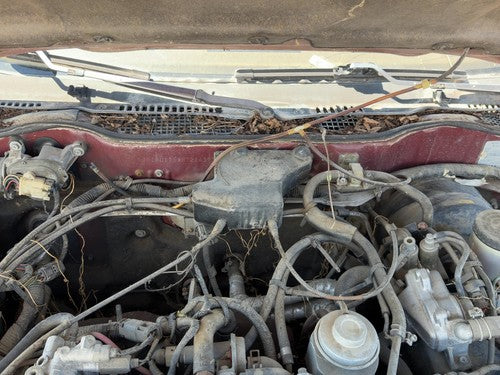 1987 Nissan Maxima Cruise Control Servo Assembly Module With Cable Oem 3.0L At