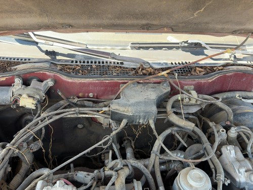 1987 Nissan Maxima Cruise Control Servo Assembly Module With Cable Oem 3.0L At