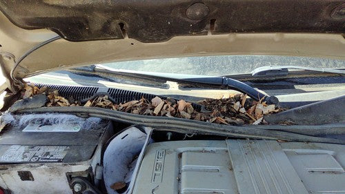 2003-2007 Cadillac Cts Passenger Right Windshield Wiper Arm Oem Blade Lever