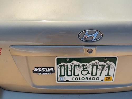 01-06 Elantra License Plate Trim Surround Panel Tail Trunk Finish Prime Beige Ko