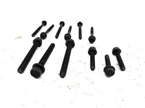 2008-2010 Dodge Caravan Engine Timing Cover Bolts Oem Hardware Set 3.3L