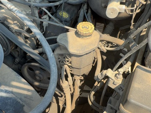 2002-2004 Dodge Ram 1500 Power Steering Pump With Pulley Oem 5.9L 52113454Ad