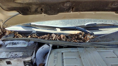 2003-2007 Cadillac Cts Passenger Right Windshield Wiper Arm Oem Blade Lever