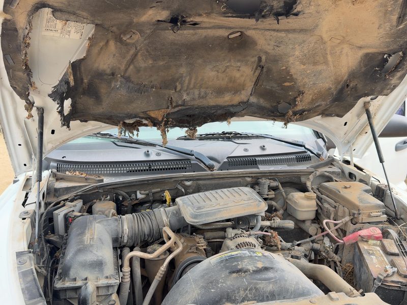 2002-2009 Dodge Dakota (mid-size) Hood Hinge RH