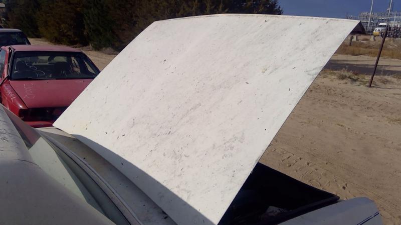 1980-1990 Chevrolet Caprice (80 & Up) Trunk/Decklid/Hatch/Tailgate