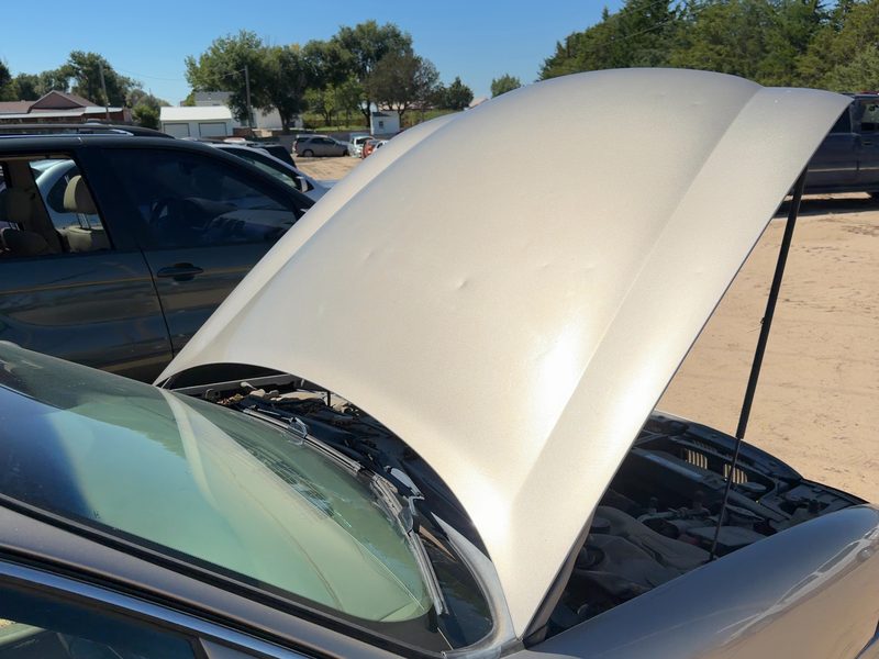 2000-2005 Buick Lesabre (80 & Up) Hood