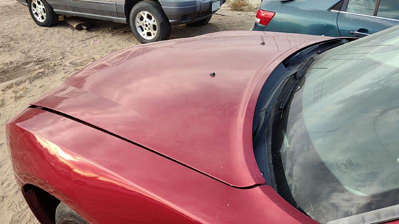 2006-2010 Dodge Charger Hood