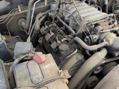 1998-2004 Isuzu Rodeo Passenger Right Cylinder Head Assembly Oem 3.2L 59518A