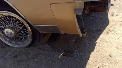 1985 Olds 88 Passenger Right Moulding From Fender Oem Trim Strip Gold
