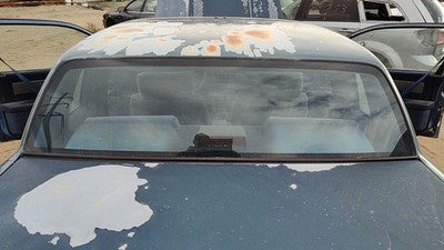 1985-1991 Olds Cutlass Calais Back Glass Rear Window Oem 2 Door 20360659