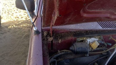 1981-1987 Isuzu Pup Pickup Passenger Right Hood Hinge Assembly Oem Red 94217433