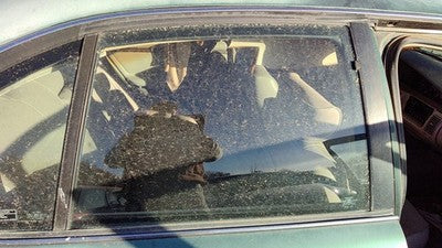 1992-1999 Olds 88 Passenger Right Rear Side Window Door Glass Oem Back 25640151