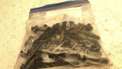 2001-2005 Dodge Caravan Set Of Bolts For Timing Cover Oem Hardware 3.3L