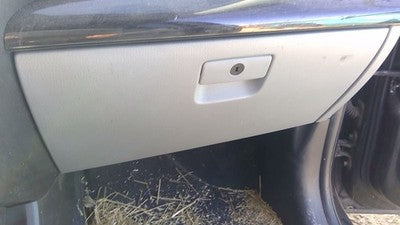 2011-2015 Kia Sorento Glove Box Assembly Complete Door With Latch Oem Black Eb