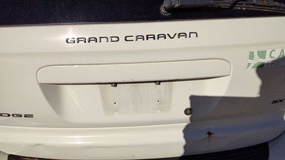 2001-2007 Dodge Caravan Driver Left Front Outside Door Handle Oem White Pw1