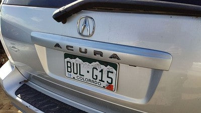 2004 Acura Mdx License Plate Trim Surround Panel Oem Tail Trunk Finish Silver
