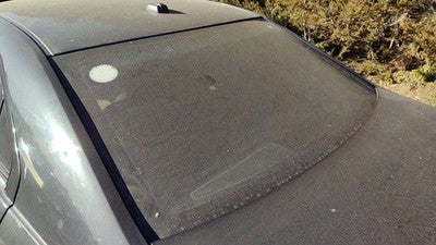 2010-2012 Ford Fusion Back Glass Rear Window Oem Ae5z5442006a