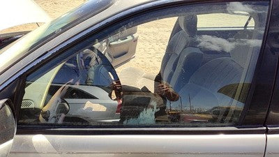 1997-2004 Buick Century Driver Left Front Side Window Door Glass Oem 10439232