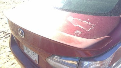 2010-2012 Lexus Hs250h Hybrid Rear Spoiler Back Wing Oem Red 3R1 7609175020C0