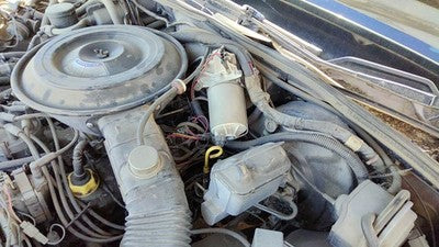 1985 Mercury Grand Marquis Cruise Control Servo Assembly Module With Cable Oem