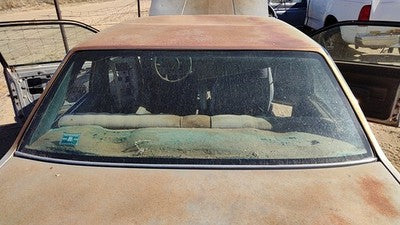 1985-1987 Pontiac Sunbird Back Glass Rear Window 2Dr Oem 20480996