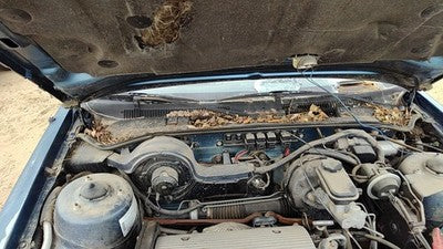 1989 Olds Cutlass Calais Windshield Wiper Cowl Vent Trim Panel Oem Cover