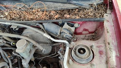 1991-2003 Ford Escort Windshield Wiper Motor Oem 6M5Z17508Aa