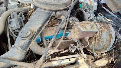 1980-1984 Cadillac Deville Driver Left Cylinder Head Assembly Oem 368 6.0L