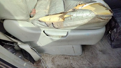 2006 Honda Odyssey Passenger Right Side Seat Trim Panel Oem Gray