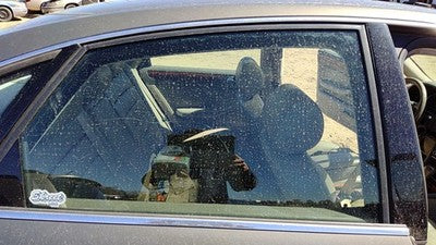 1998-2004 Audi A6 Passenger Right Rear Side Window Door Glass Oem Back 4B5845206