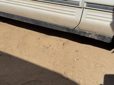 1994 Lincoln Town Car Passenger Right Lower Rocker Panel Moulding Side Skirt Oem