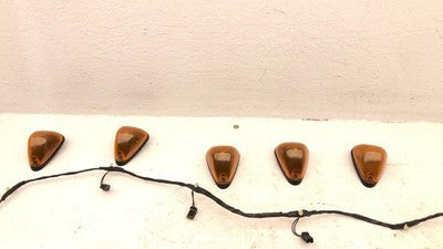 2001 F450 Super Duty Cab Lights With Wiring Harness Oem Clearance