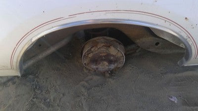 1978 Buick Regal Passenger Right Rear Wheel Moulding Oem