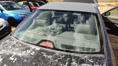 1997-2002 Bmw 540I Back Glass Rear Window Oem 51318172414